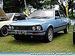 505_1a.jpg
